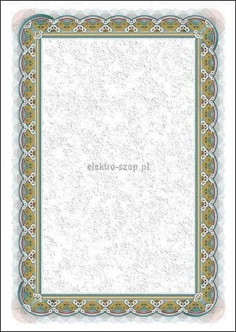 Dyplom Galeria Papieru Srebro A4 250g (210125)