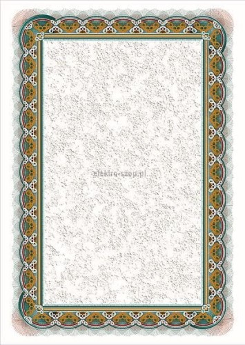 Dyplom Galeria Papieru srebro A4 170g (210117)