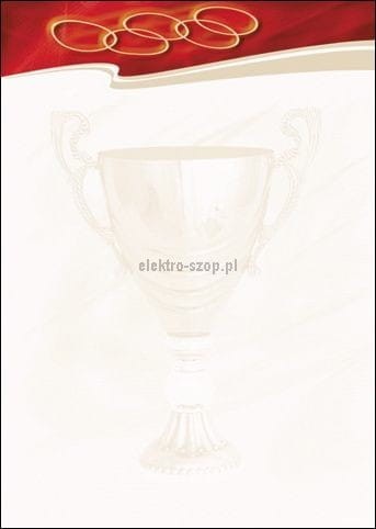 Dyplom Galeria Papieru Sport N A4 170g (212317)