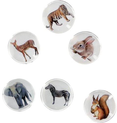 Magnes Fun&amp;Joy ZWIERZĘTA okrągły - mix śr. 30mm 6 sztuk