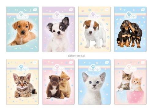 Zeszyt Interdruk Puppy Sign A5 16k. 70g krata [mm:] 148x210 (ZE16#PS)
