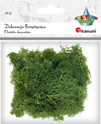 Dekoracja Craft-Fun Series dekoracja florystyczna mech chrobotek Titanum (2324045 DG)
