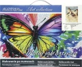 Zestaw kreatywny Flamingo Line Malowanie po numerach 30x40cm Kot 1 (FC222)