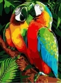 Zestaw kreatywny Flamingo Line Malowanie po numerach 30x40cm Papugi (FSY287)