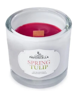 Świeczka ozdobna Pavoncella Classico Spring Tulip biała 170g (5905711530974)