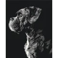 Zestaw kreatywny Brushme Malowanie Po Numerach 40x50 cm Pies (BR-BS53935)