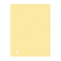 Teczka ofertowa Oxford Urban pastel A4 kolor: mix 40 kieszeni (400187645)