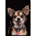 Zeszyt Herlitz Crazy Animal A5 60k. 70g linia (400196838)