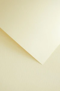 Papier ozdobny (wizytówkowy) Galeria Papieru len A4 kremowy 220g (201832)