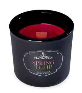 Świeczka ozdobna Pavoncella Classico Spring Tulip czarna 170g (5905711530981)