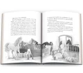 Książka dla dzieci Ameet HORSE CLUB. Niesamowity jeździec (CBH 8401)