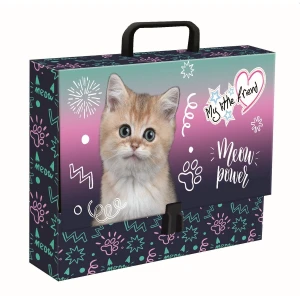 Teczka kartonowa na zatrzask My Little Friend Kitty Party A4 mix Unipap