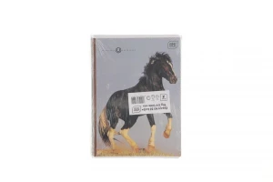 Zeszyt Interdruk GIRLS A5 32k. 70g linia kolor