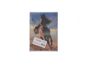 Zeszyt Interdruk WILD HORSES A5 32k. 70g krata