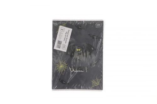 Zeszyt Interdruk YUHU A5 16k. 70g linia kolor