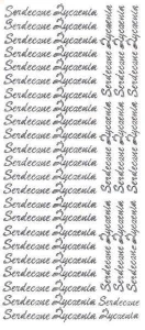 Naklejka (nalepka) Farro Serdeczne życzenia srebrne (002)