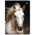 Zeszyt Interdruk WILD HORSES A5 16k. 70g linia kolor
