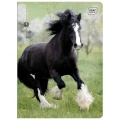 Zeszyt Interdruk A5 32k. 70g trzy linie