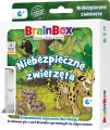 Gra edukacyjna Rebel BrainBox -  Pocket - Niebezpieczne zwierzęta (5902650619982)