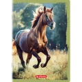 Zeszyt Animals A5 16k. 70g gładki Herlitz (400196854)