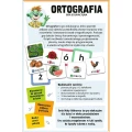 Gra edukacyjna Gabby Mały odkrywca Ortografia Trefl (02803)