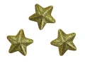Ozdoba styropianowa Craft-Fun Series gwiazdki Titanum (23YX0326-2(GOLD))