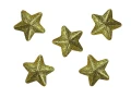 Ozdoba styropianowa Craft-Fun Series gwiazdki Titanum (23YX0326-3(gold))