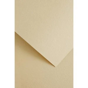 Papier ozdobny (wizytówkowy) wood kremowy A4 kremowy 220g Galeria Papieru (205612)