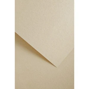 Papier ozdobny (wizytówkowy) wood jasno kremowy A4 kremowy 220g Galeria Papieru (205611)
