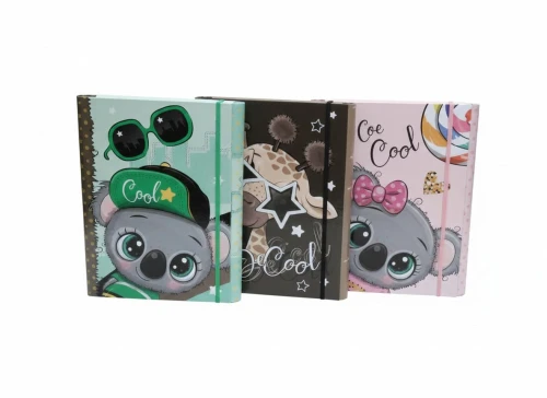 Teczka kartonowa na gumkę 4cm z gumką-BE COOL B4 mix VauPe (310/95)