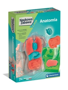 Zestaw kreatywny dla dzieci Anatomia Clementoni (50252)