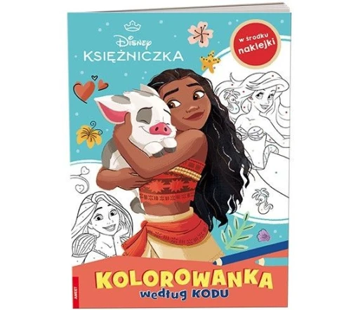 Książka dla dzieci Księżniczka Ameet (KKO 9109)