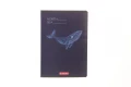 Zeszyt A5 mix 3 60k. 70g kratka Herlitz (400206346)