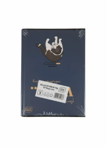 Zeszyt A5 BOYS  mix 60k. 70g krata Interdruk