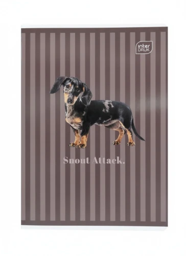 Zeszyt A5 PUPPY SIGN 60k. 70g krata Interdruk (ZE60#PS)