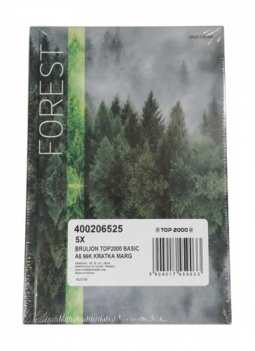 Brulion A5 BASIC 96k. 60g krata TOP-2000 (400206525)