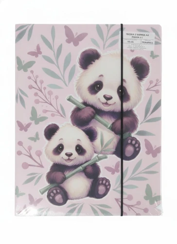 Teczka kartonowa na gumkę Panda A4 mix Derform (TGA4PA11)