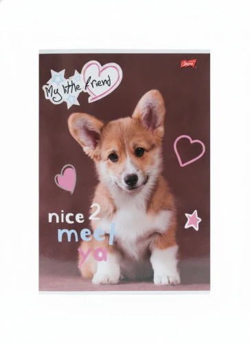 Zeszyt A4 My Little Friend 32k. 70g krata Unipap