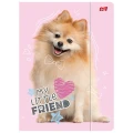 Teczka kartonowa na gumkę POMERANIAN A4 różowy 300g Unipap