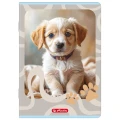 Zeszyt A5 Animals 32k. 70g linia podwójna Herlitz (400206382)