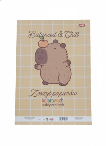 Zeszyt A4 papierów kolorowych 10k. Unipap