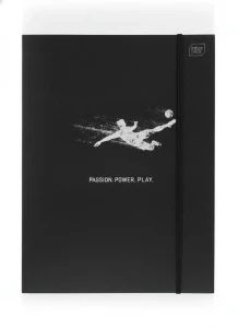 Teczka kartonowa METALIC SPORT Interdruk (A4+)