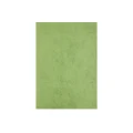 Papier ozdobny (wizytówkowy) A4 CORINTHIAN GREEN kolor biały Beniamin (5176)