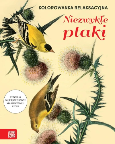 Książka dla dzieci Kolorowanka relaksacyjna. Niezwykłe ptaki Zielona Sowa