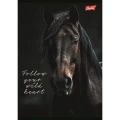 Zeszyt A5 Wild Heart 60k. 70g krata Unipap