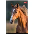Zeszyt A5 Wild Heart 60k. 70g krata Unipap