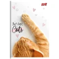 Zeszyt A5 PURRFECT MOMENTS 60k. 70g krata Unipap