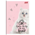Zeszyt A5 PURRFECT MOMENTS 60k. 70g krata Unipap