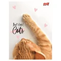 Zeszyt A5 PURRFECT MOMENTS 60k. 70g krata Unipap