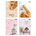 Zeszyt A5 PURRFECT MOMENTS 60k. 70g krata Unipap